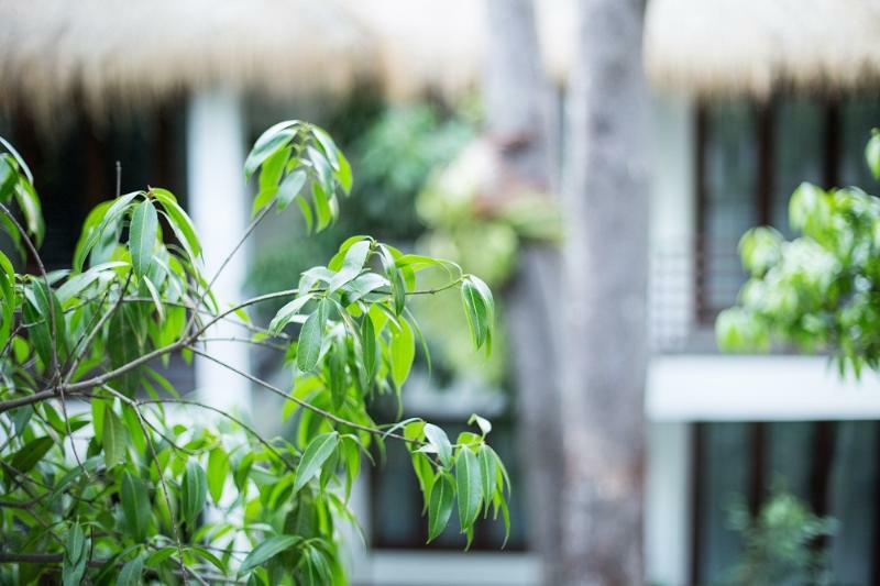 Rokkhak River Resort Siem Reap Exterior photo