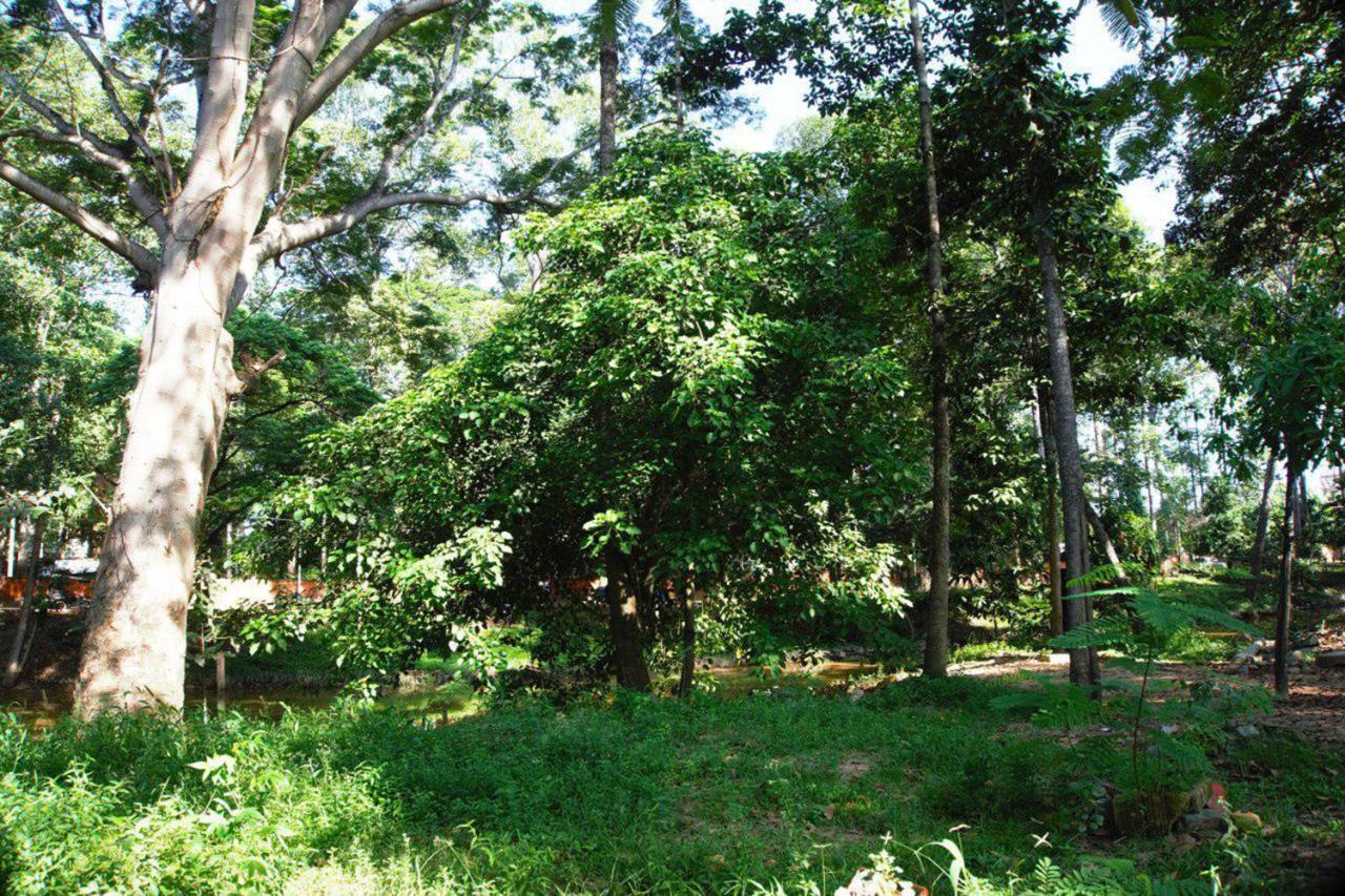 Rokkhak River Resort Siem Reap Exterior photo